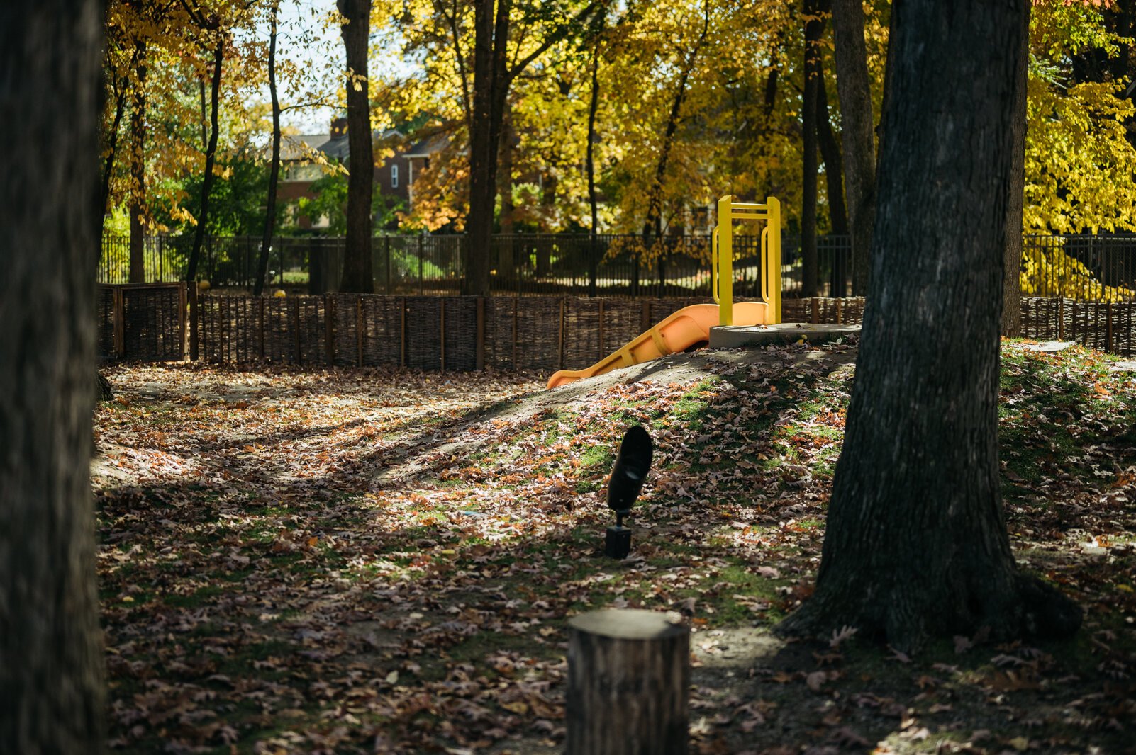 "The grove" is the center's largest playground, situated within the surrounding neighborhood, where 3 to 4-year-olds play. Each of the older classrooms has door access to the nature park.