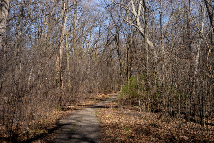 There are more than 10 miles of trails at Palmer Park.