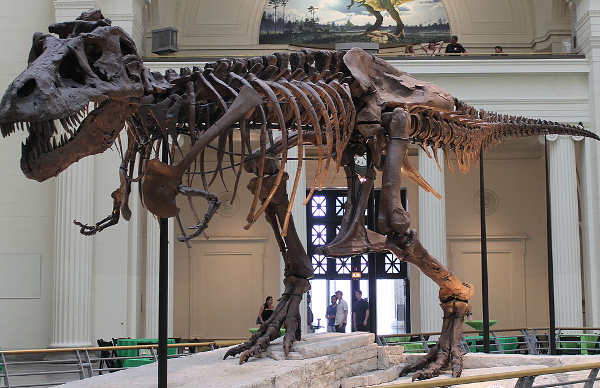 Sue, the world's largest and most complete T. rex, is coming to the Michigan Science Center