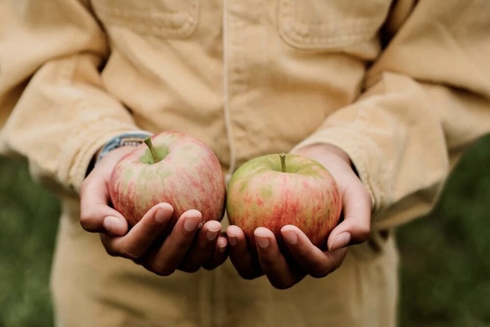 “Creating greenspaces for community gathering and food production in our urban areas means more resilient neighborhoods that are able to provide for themselves and their residents,” said MEDC Regional Prosperity Managing Director Paula Holtz.