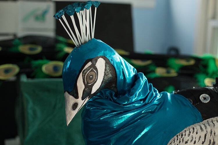 Lindsay McCaw designed and created a peacock puppet for the Carrie Morris Art Production collaboration with the Detroit Zoo. 