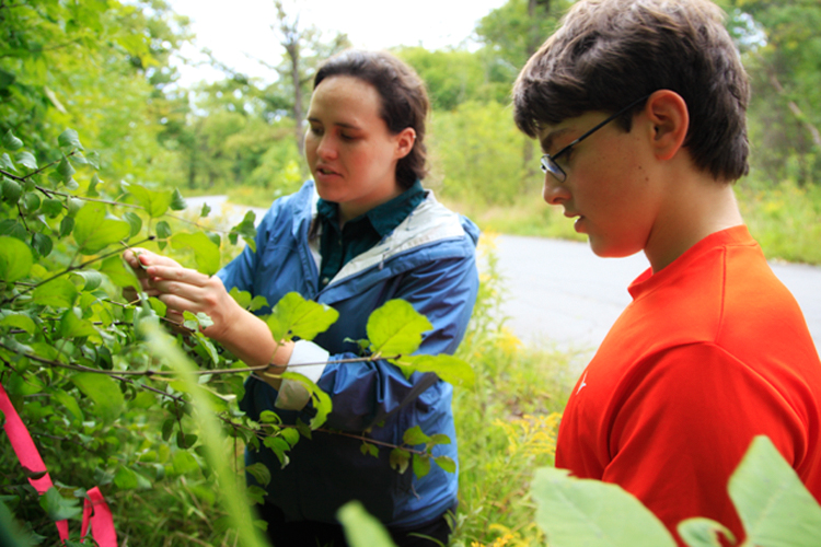 Farmington Hills Boy Scout Joe is learning to identify the invasive Buckthorn from DNR Stewardship Coordinator Echo Prafke-Marson. Photo by Imad Hassan 