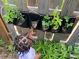 Children are exposed to fresh air, gardening, vegetables and more when gardens become part of early childhood education experiences. 