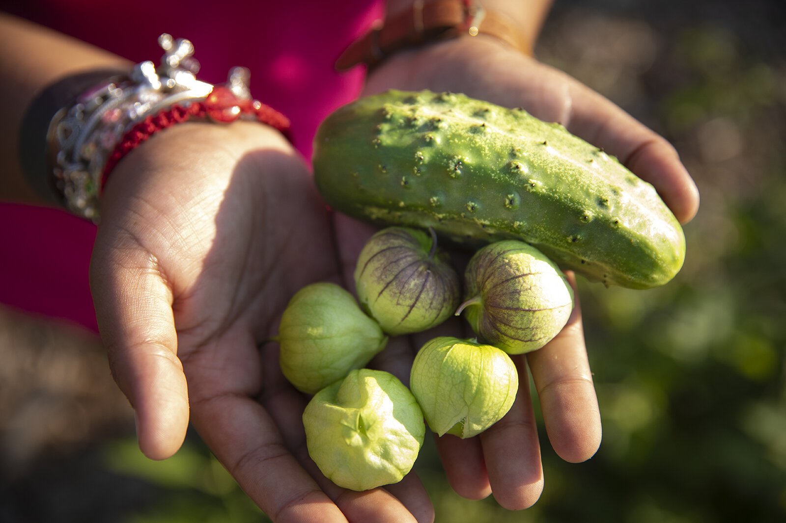 Produce from the Youth Mentor Garden at Marquette Park in Wyoming, Mich.