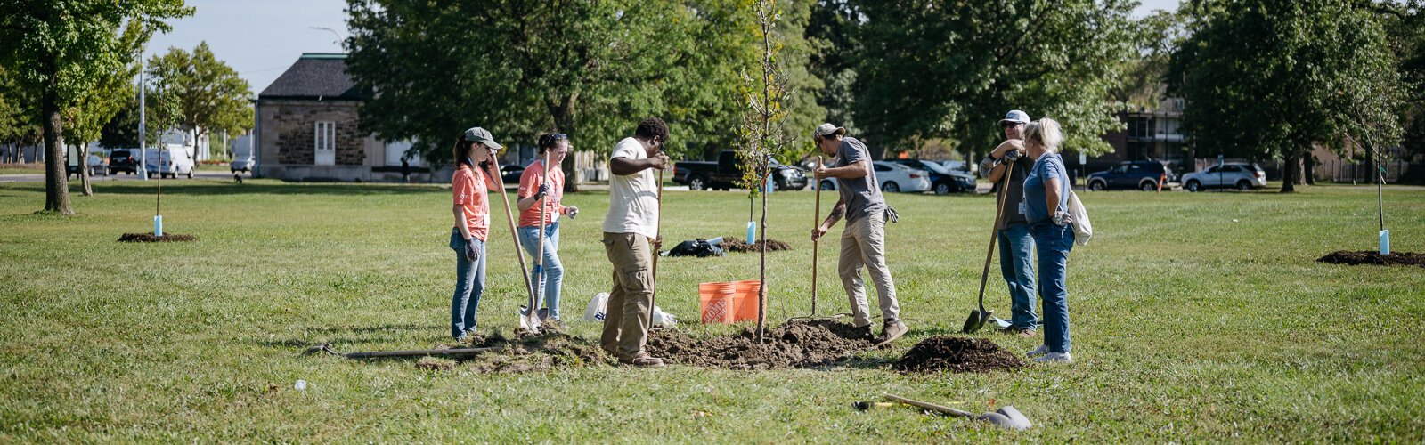 Volunteers plant trees at Palmer Park in Detroit.