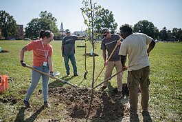 People plant trees during a volunteer work day at Palmer Park in Detroit.