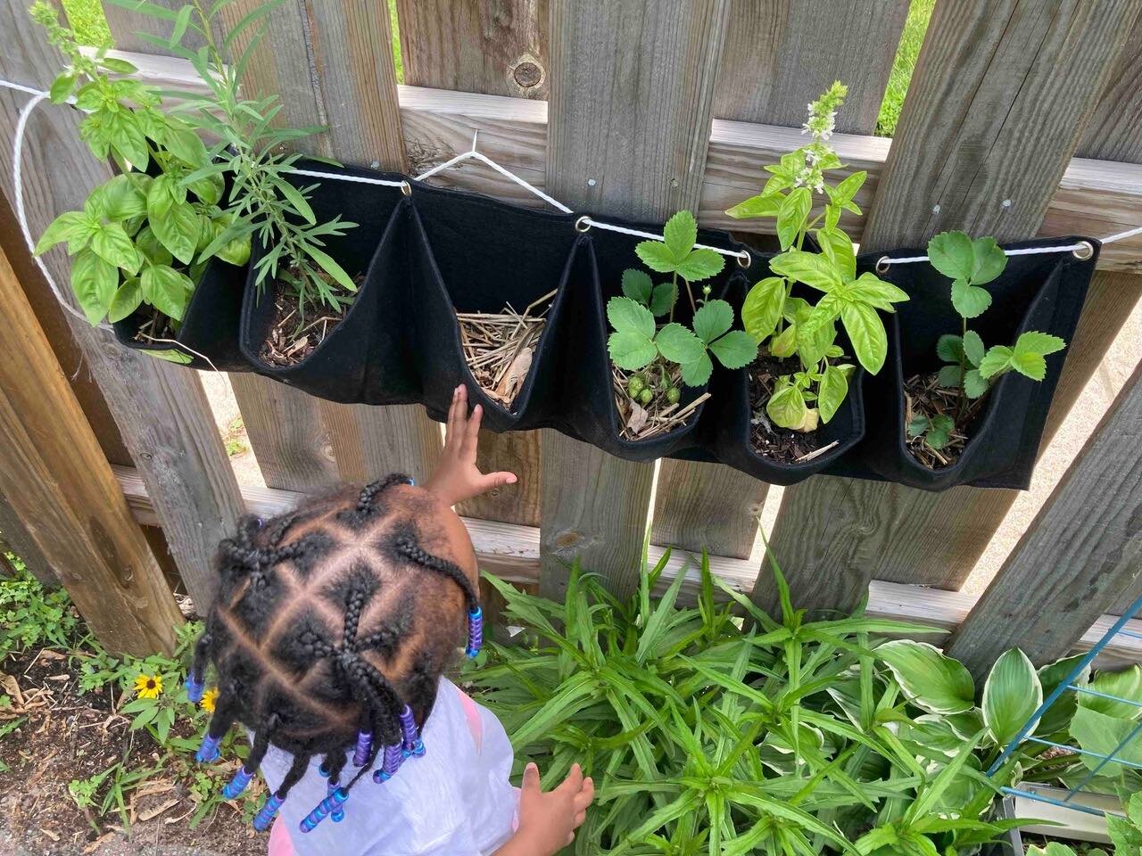 Children are exposed to fresh air, gardening, vegetables and more when gardens become part of early childhood education experiences